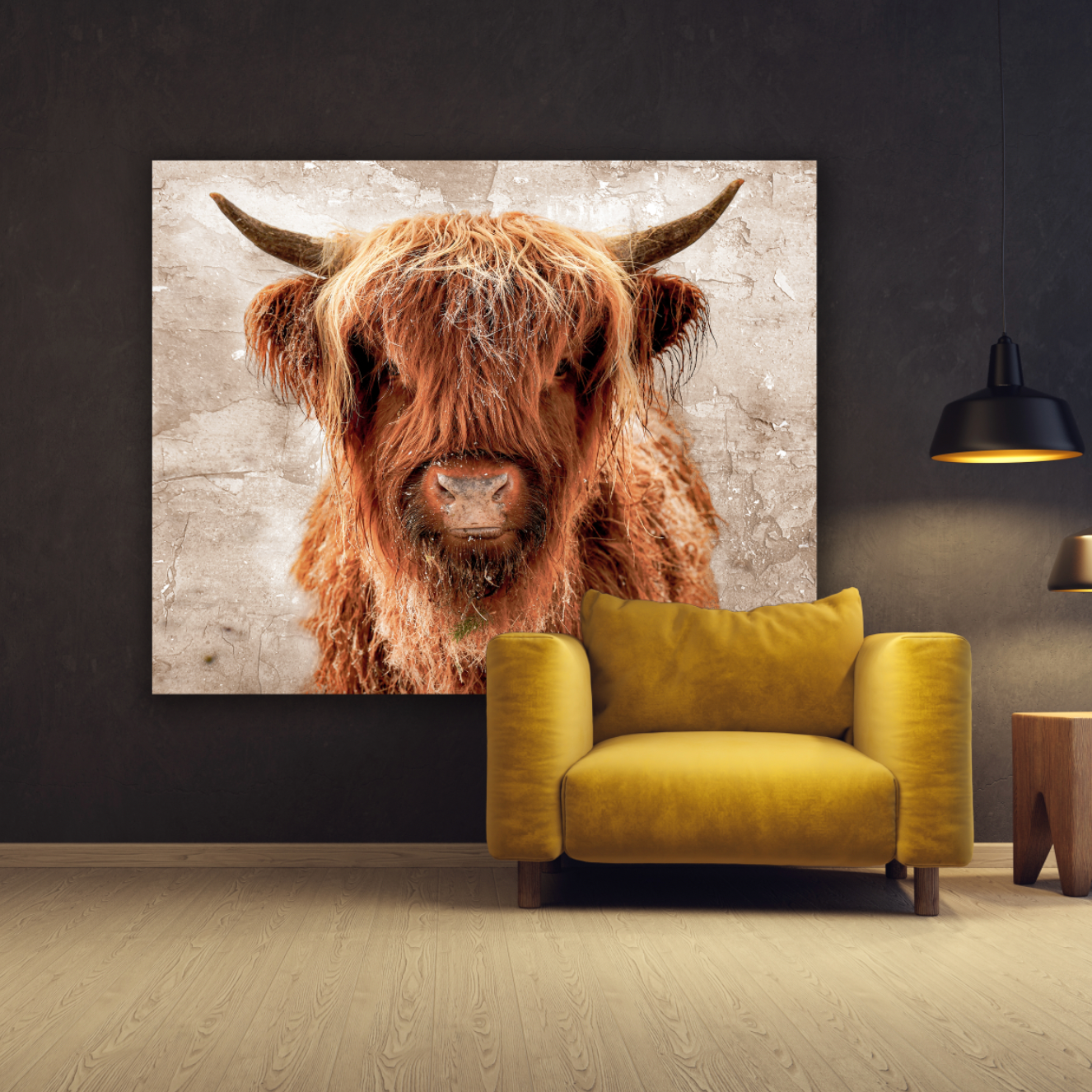 Schotse Hooglander in Drenthe - Gallery 22