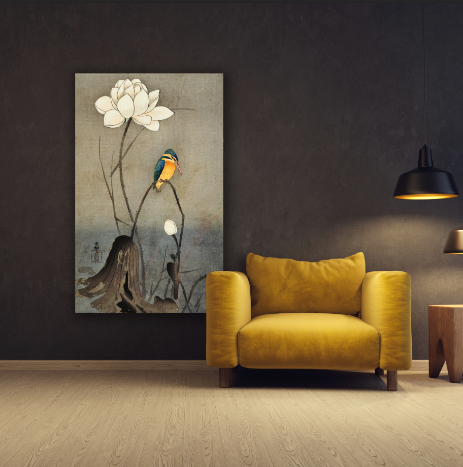 IJsvogel - Koson
