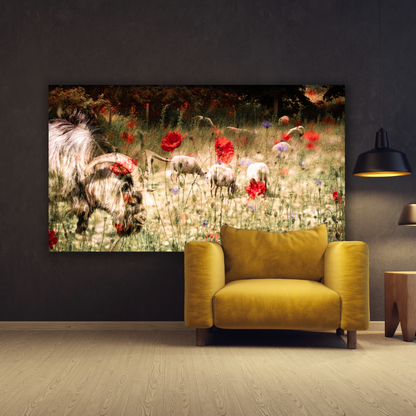 Schapen in Drenthe - Gallery 22